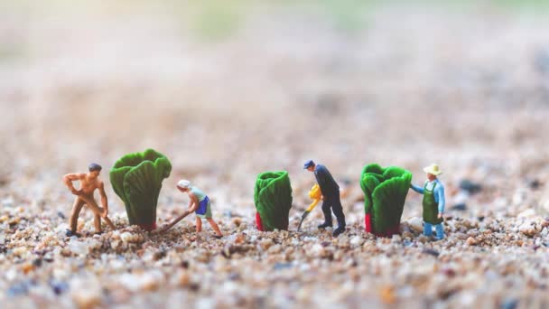 Miniature People Gardeners Harvesting Vegetables Agriculture Concept Royaltyfri Stockfilm