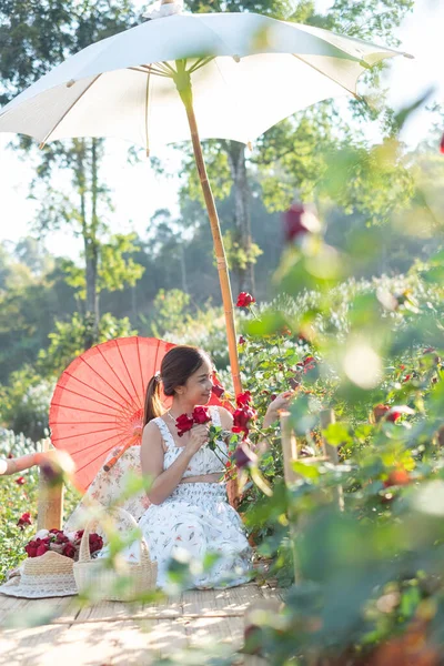 stock image Young Asian woman wearing a white dress poses with a rose in rose garden, Chiang Mai Thailand