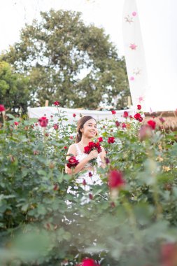 Beyaz elbiseli genç Asyalı kadın gül bahçesinde bir gül ile poz veriyor, Chiang Mai Tayland