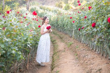 Beyaz elbiseli genç Asyalı kadın gül bahçesinde bir gül ile poz veriyor, Chiang Mai Tayland