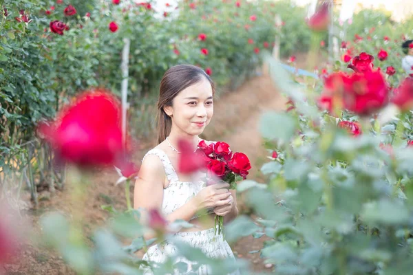 Mujer Asiática Joven Con Vestido Blanco Posa Con Una Rosa —  Fotos de Stock