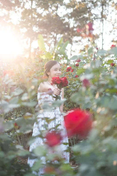 stock image Young Asian woman wearing a white dress poses with a rose in rose garden, Chiang Mai Thailand