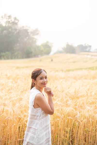 Jovens Mulheres Asiáticas Vestidos Brancos Campo Arroz Cevada Temporada Cor — Fotografia de Stock