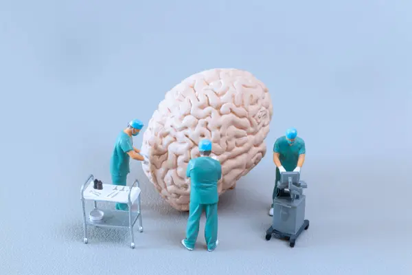 Miniaturmenschen Arzt Überprüft Und Analysiert Gehirnmodell Auf Weißem Hintergrund Wissenschafts lizenzfreie Stockfotos