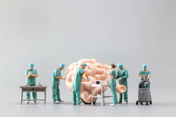 Miniatura Ludzie Lekarz Sprawdzanie Analiza Modelu Jelita Cienkiego Nauka Medycyna — Zdjęcie stockowe