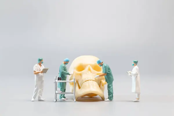 Miniature People Doctor Giant Human Skull Grey Background Science Medical — Zdjęcie stockowe