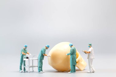 Minyatür insanlar. Doktor gri arka planda dev bir insan kafatası, Bilim ve Tıp Konsepti.