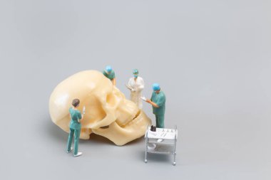 Miniature people Doctor with a giant human skull on a grey background, Science and Medical Concept