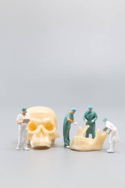 Miniature people Doctor with a giant human skull on a grey background, Science and Medical Concept