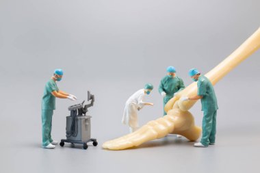 Minyatür insanlar, insan ayak bileği eklemlerinin anatomi modeli gri zemin, sağlık ve tıbbi konsept üzerinde bir doktorla