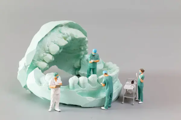 Persone Miniatura Dentista Che Espone Modelli Dentali Modelli Ortodontici Gesso Foto Stock