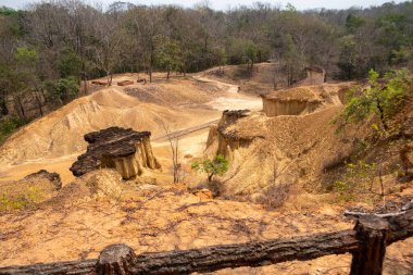 Phrae, Tayland 'daki Phae Mueang Phi Orman Parkı' nda çarpıcı kaya oluşumları. Doğal erozyonla şekillenen sert kumtaşı sütunlarıyla eşsiz bir jeolojik mucize..