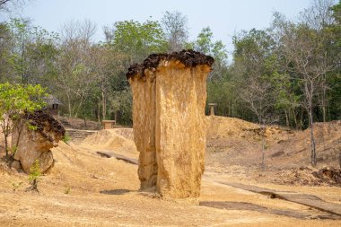 Phrae, Tayland 'daki Phae Mueang Phi Orman Parkı' nda çarpıcı kaya oluşumları. Doğal erozyonla şekillenen sert kumtaşı sütunlarıyla eşsiz bir jeolojik mucize..