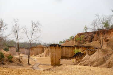 Phrae, Tayland 'daki Phae Mueang Phi Orman Parkı' nda çarpıcı kaya oluşumları. Doğal erozyonla şekillenen sert kumtaşı sütunlarıyla eşsiz bir jeolojik mucize..