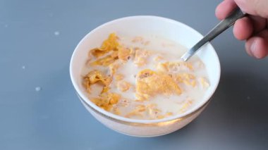 Bir kaşığın yakın plan çekimi bir kaseden taze süte batırılmış altın mısır gevreğini kaldırıyor. Yemek, sağlık ve yaşam tarzı kavramları için mükemmel.