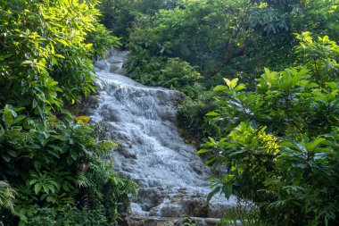 Namtok Bua Tong-Nam Phu Chet Si Milli Parkı. Chiang Mai, Tayland 'da eşsiz bir kireçtaşı şelalesi, Yapışkan Şelale olarak bilinir.