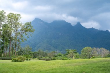 Muhteşem Doi Luang Chiang Dao dağının arka planında manikürlü bir bahçe var. Chiang Mai Tayland.