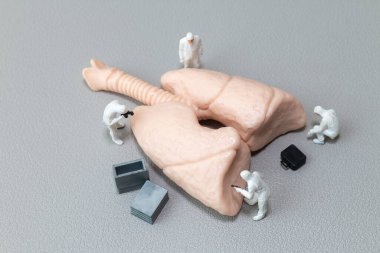 Minik tehlikeli madde elbiseli kişiler, solunum sağlığı, akciğer hastalıkları araştırmaları ve tıbbi yenilikleri temsil eden bir insan akciğer modelini incelerler.