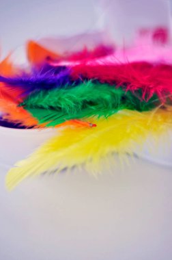 Happy Easter celebration. Colorful Easter decoration. Feathers on a table. Childhood tradition. Springtime holiday season.