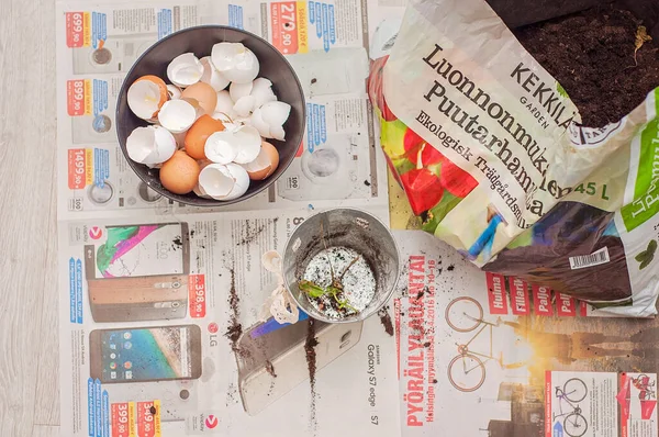 Bag of potting soil, bowl of eggshells and a plant pot on some newspaper. Eggshells will be crushed and mixed with the soil to work as a natural fertilizer. Indoor gardening and homegrown vegetables.