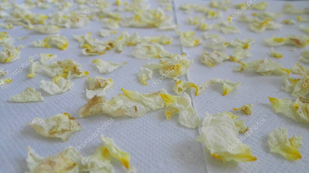 Dried or dehydrated rose petals. White and yellow rose petals on paper