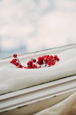 Red rowanberries on white cotton wool are decorative between the window. Bunch of small old red rowanberries are colorful.