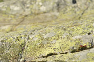 Beautiful stonework with decorative pattern. Closeup of cracks in the rock. Nature landscape with green mossy dots.