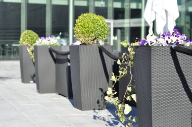 Outside restaurant with beautiful flower decorationes of pansies and box trees. Summer terrace design with modern furniture for tourists.