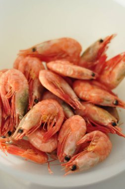 Close-up of some unpeeled red prawn on a white plate or in a bowl. Raw or cooked shrimp with peel on. Delicious small shellfish or crustacean. 