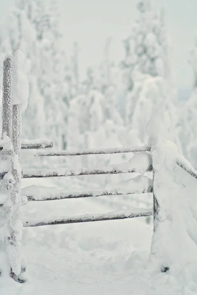 Snow-covered rustic wooden fence in the snowy forest. Deciduous and coniferous evergreen trees and snow burden on tree branches. Beautiful snowy winter landscape in Lapland, Finland.