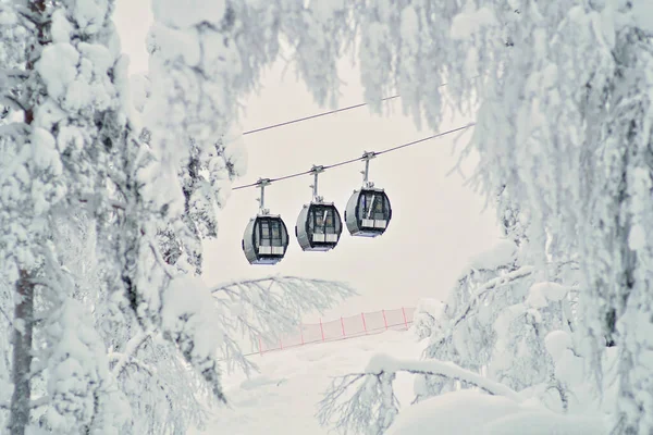 Three cable cars or gondola lifts going up the slope, pictured through the snow-covered trees. Beautiful snowy winter landscape in Lapland, Finland.