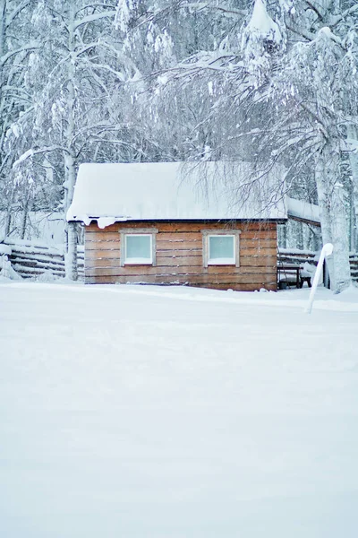 Rustic wooden cabin in the snowy forest. Wooden cottage or house with a wooden fence. Deciduous forest with snow covered birch trees. Rural living in Lapland, Finland.
