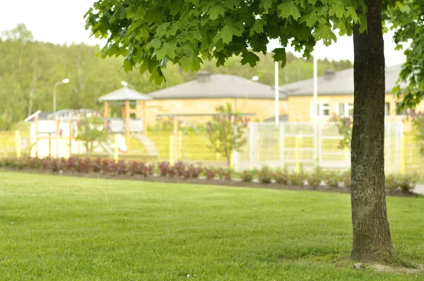 Beautiful landscaping with bushes, trees and green lawn. Pre school in background with traditional climbing frame and slide.