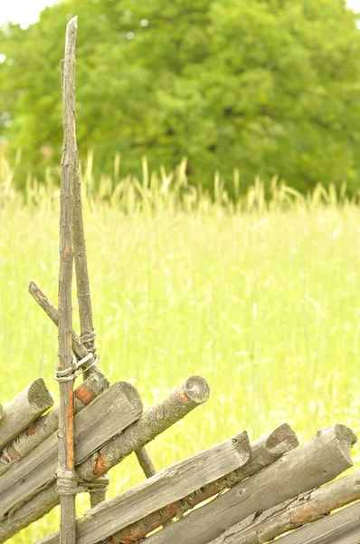 Old fence made of various sticks tied together. Rural scenery with fields and trees in background. Closeup of sawn sticks with bark and moss.