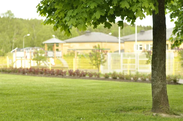 Schöne Landschaft Mit Büschen Bäumen Und Grünem Rasen Vorschule Hintergrund Stockbild