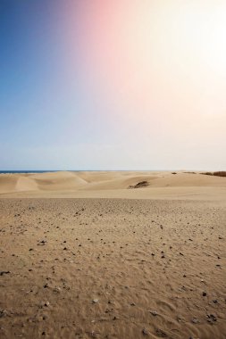 İspanya, Gran Canaria 'daki Maspalomas sahil kum tepeleri. Çöl benzeri kum bölgesi, mavi gökyüzü ve güneş ışığı. Görünürde kimse yok, sadece sakin doğanın tadını çıkarıyoruz..