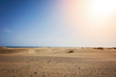 İspanya, Gran Canaria 'daki Maspalomas sahil kum tepeleri. Çöl benzeri kum bölgesi, mavi gökyüzü ve güneş ışığı. Görünürde kimse yok, sadece sakin doğanın tadını çıkarıyoruz..