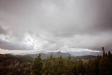 İspanya, Gran Canaria 'daki dağların ve volkanik kayalık tepelerin çarpıcı manzarası. Bulutlu mavi gökyüzü. Kozalaklı orman alanı ve bir sürü kozalaklı ağaç. Yürüyüş ve güzel doğa manzarası..