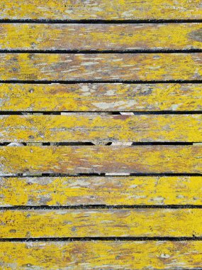 Sarı liken kaplı ahşap duvar. Lichen yosun gibidir ama mantar ve alglerden oluşur. Eski ve kırsal kulübe ya da yatay ahşap tahtalar ve tahtalar arasında büyük boşluklar olan diğer ek bina..