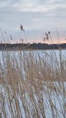 Donmuş göl ya da gün batımında karla kaplı deniz. Sazlıklar ya da ön planda biraz ot ya da saman, uzakta evleri ve binaları olan bir kasaba. Finlandiya 'da gökyüzü bulutludur ve gün batımında resmedilir..