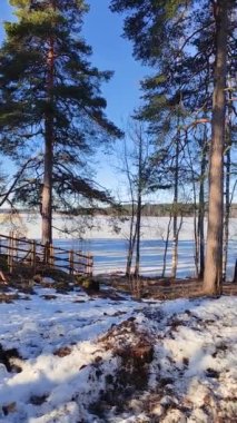 Arka bahçe ya da yazlık bahçe karla kaplı. Göl ya da deniz donmuş ve karla kaplı. Güzel güneşli ve soğuk kış günü. Tahta çit ve ters dönmüş kayık avluda. Finlandiya.