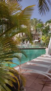 Güzel turkuaz suyu olan bir havuz. Uzun palmiye ağaçları güçlü rüzgarda sallanıyor. Havuzun etrafında sandalyeler ve güneş yatakları. Sıcak ve güneşli ama otel havuzunda rüzgarlı bir gün. Huzurlu ve başka kimse yok..