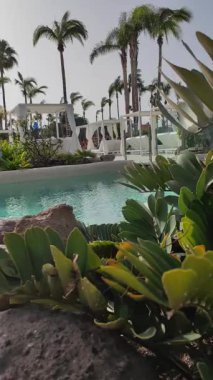 Güzel turkuaz suyu olan bir havuz. Uzun palmiye ağaçları güçlü rüzgarda sallanıyor. Havuzun etrafında sandalyeler ve güneş yatakları. Sıcak ve güneşli ama otel havuzunda rüzgarlı bir gün. Huzurlu ve başka kimse yok..