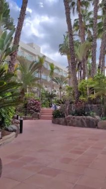 Birçok ağaç çeşidi olan şehir bahçesi, çoğunlukla farklı palmiye ağaçları. Asfalt kırmızı levhalardan yapılmıştır. Palmiye ağaçları rüzgarda sallanıyor, insanlar ve turistler yürüyor. Güneşli ve bulutlu yaz günü.