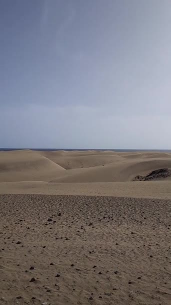 西班牙大加那利群岛的马斯帕洛马斯海滩和沿海沙丘 沙漠般的沙地 蓝天和阳光 蓝色的大海在地平线上 没有人看得见 只是享受着平静的天性 — 图库视频影像