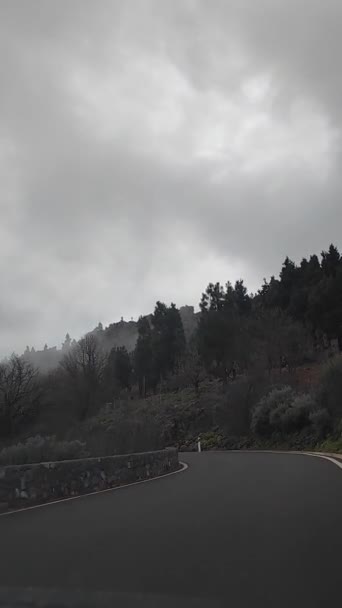 スペインのグラン カナリアの山の中で車で運転 アスファルトの道路を通過する他の車 両側に山 木や他の植生の風景です 青い空と晴れた日 — ストック動画
