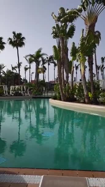Zwembad Met Prachtig Turquoise Water Grote Palmbomen Zwaaien Door Harde — Stockvideo