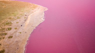 Ukrayna 'daki Pembe Tuz Gölü manzarası. Kırmızı pigmentli bir yosunun alışılmadık rengi. İnanılmaz deniz manzarası.