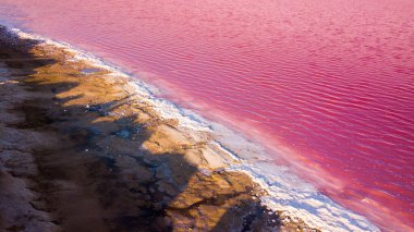 Ukrayna 'daki Pembe Tuz Gölü manzarası. Kırmızı pigmentli bir yosunun alışılmadık rengi. İnanılmaz deniz manzarası.