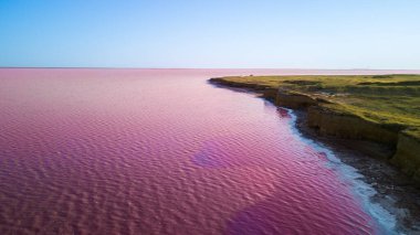 Ukrayna 'daki Pembe Tuz Gölü manzarası. Kırmızı pigmentli bir yosunun alışılmadık rengi. İnanılmaz deniz manzarası.